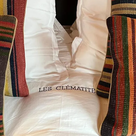 -les Clematites- Exclusif, Centre *